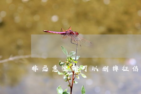 非恶意逾期可以删掉征信吗 非恶意逾期可以删掉征信吗