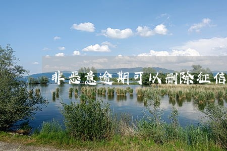 非恶意逾期可以删除征信吗 非恶意逾期可以删除征信吗