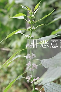 非恶意逾期可以弄假的吗 非恶意逾期可以弄假的吗