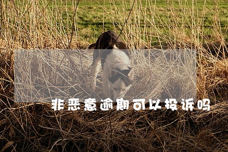 非恶意逾期可以投诉吗 非恶意逾期可以投诉吗
