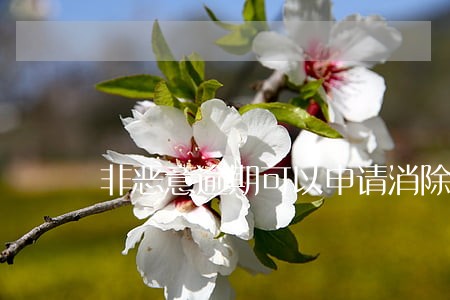 非恶意逾期可以申请消除吗 非恶意逾期可以申请消除吗