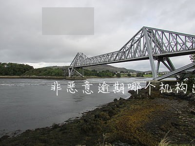 非恶意逾期哪个机构出 非恶意逾期哪个机构出