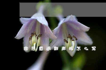 非恶意逾期声明怎么写