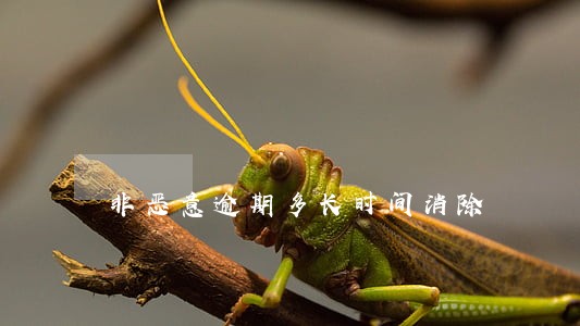 非恶意逾期多长时间消除 非恶意逾期多长时间消除