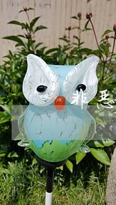 非恶意逾期如何撤销征信 非恶意逾期如何撤销征信