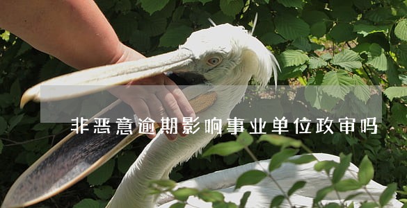 非恶意逾期影响事业单位政审吗 非恶意逾期影响事业单位政审吗