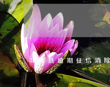 非恶意逾期征信消除 非恶意逾期征信消除