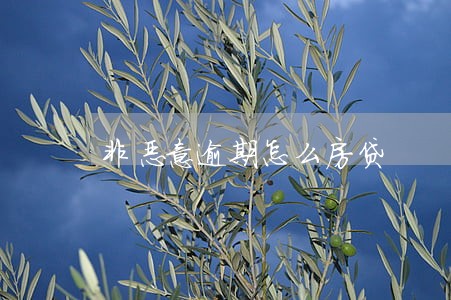 非恶意逾期怎么房贷 非恶意逾期怎么房贷