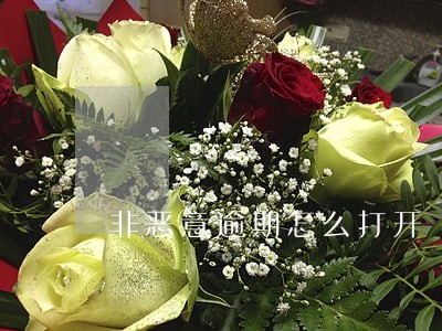 非恶意逾期怎么打开 非恶意逾期怎么打开