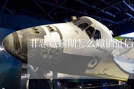 非恶意逾期怎么撤销征信 非恶意逾期怎么撤销征信