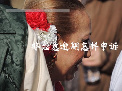 非恶意逾期怎样申诉 非恶意逾期怎样申诉