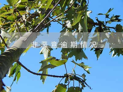 非恶意逾期情况 非恶意逾期情况