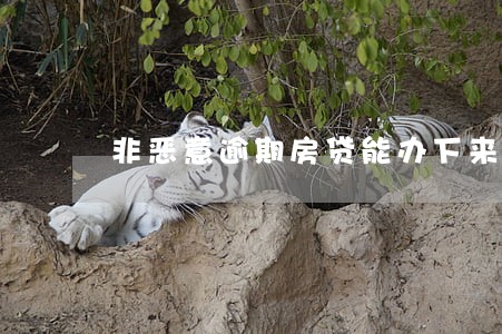非恶意逾期房贷能办下来吗 非恶意逾期房贷能办下来吗