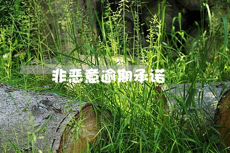 非恶意逾期承诺 非恶意逾期承诺