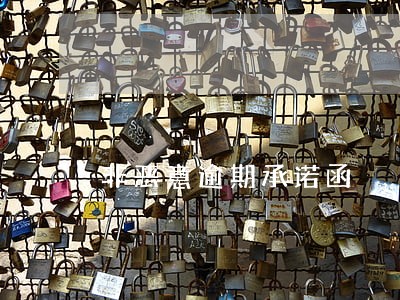 非恶意逾期承诺函 非恶意逾期承诺函