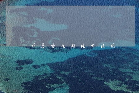 非恶意逾期拖欠证明