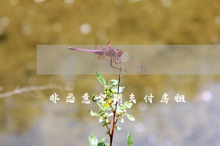 非恶意逾期支付房租 非恶意逾期支付房租