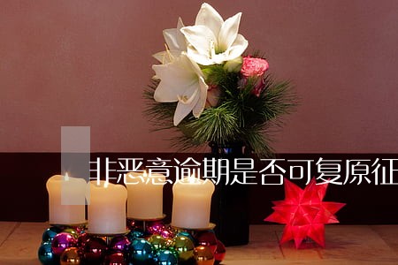 非恶意逾期是否可复原征信 非恶意逾期是否可复原征信