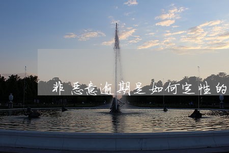 非恶意逾期是如何定性的 非恶意逾期是如何定性的