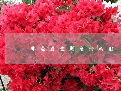 非恶意逾期有什么用 非恶意逾期有什么用