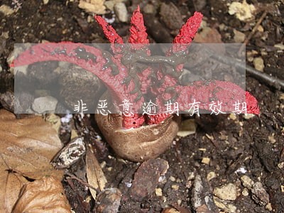 非恶意逾期有效期 非恶意逾期有效期