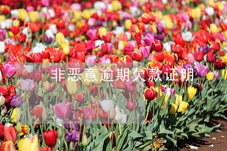 非恶意逾期欠款证明 非恶意逾期欠款证明