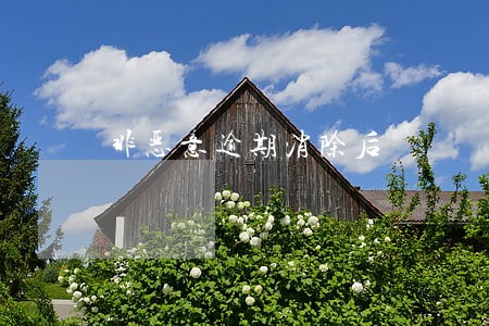非恶意逾期消除后 非恶意逾期消除后