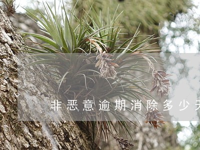 非恶意逾期消除多少天 非恶意逾期消除多少天