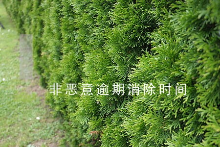 非恶意逾期消除时间 非恶意逾期消除时间