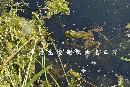 非恶意逾期理由怎么写 非恶意逾期理由怎么写