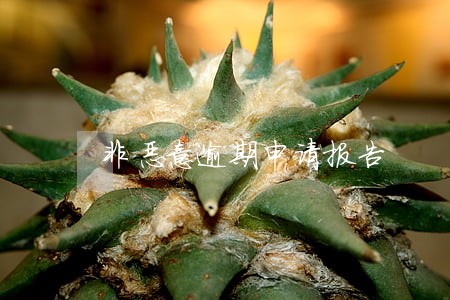非恶意逾期申请报告 非恶意逾期申请报告