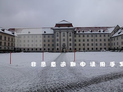 非恶意逾期申请用手写还是打印 非恶意逾期申请用手写还是打印