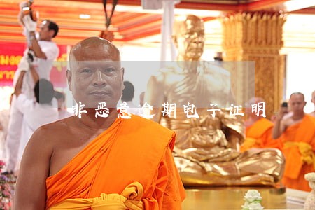 非恶意逾期电子证明 非恶意逾期电子证明