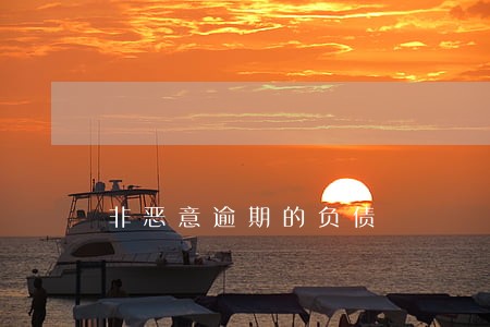 非恶意逾期的负债 非恶意逾期的负债