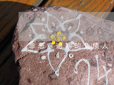 非恶意逾期的负债人 非恶意逾期的负债人