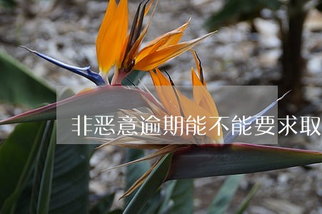 非恶意逾期能不能要求取消征信 非恶意逾期能不能要求取消征信
