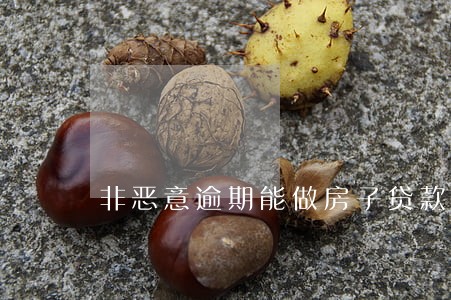 非恶意逾期能做房子贷款吗 非恶意逾期能做房子贷款吗