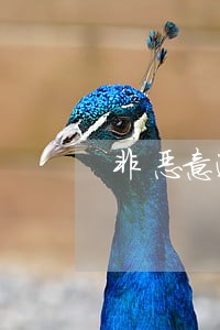 非恶意逾期能消除逾期记录吗 非恶意逾期能消除逾期记录吗