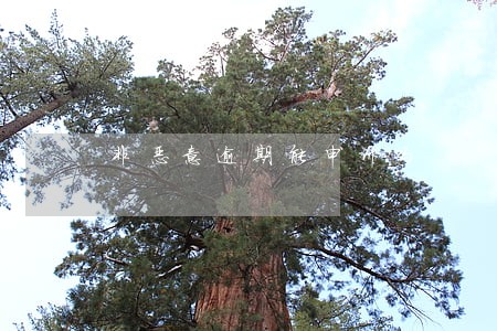 非恶意逾期能申诉吗 非恶意逾期能申诉吗