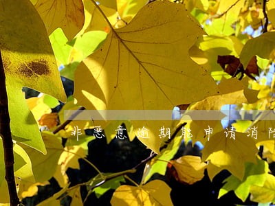 非恶意逾期能申请消除么 非恶意逾期能申请消除么