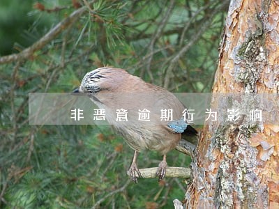 非恶意逾期行为影响 非恶意逾期行为影响