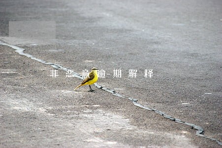 非恶意逾期解释