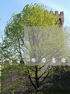 非恶意逾期记录可以消除吗 非恶意逾期记录可以消除吗