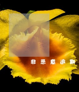 非恶意逾期证明与贷款完结证明 非恶意逾期证明与贷款完结证明