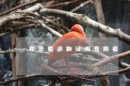 非恶意逾期证明专用章 非恶意逾期证明专用章