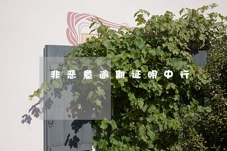 非恶意逾期证明中行
