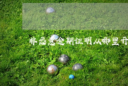 非恶意逾期证明从哪里开 非恶意逾期证明从哪里开