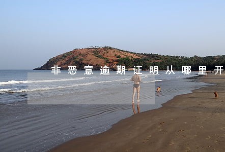 非恶意逾期证明从哪里开具