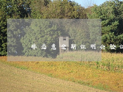非恶意逾期证明会验证吗 非恶意逾期证明会验证吗