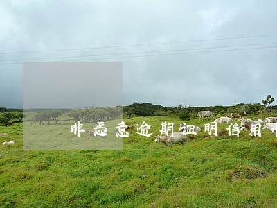 非恶意逾期证明信用卡 非恶意逾期证明信用卡